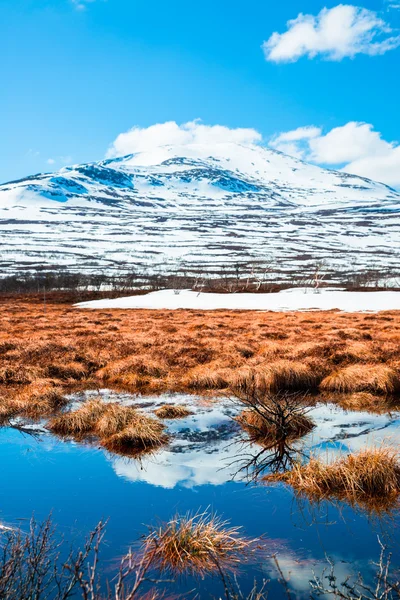 Journée ensoleillée de printemps dans les montagnes — Photo