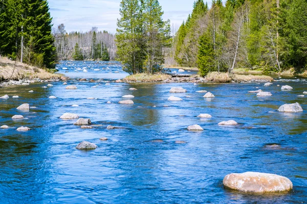 Slowly flowing river with plenty of rocks — Stock Photo, Image