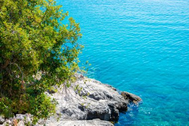 kayalık plajı ile kristal berraklığında Akdeniz