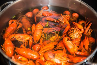 dereotu ve tuz taze pişmiş kerevit