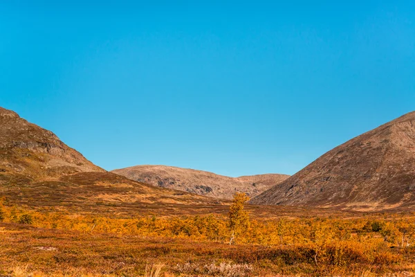Mooie herfst foto van de bergen — Stockfoto