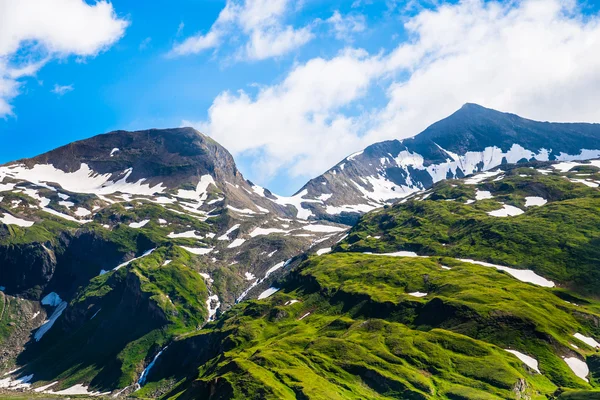 Green grassy hills, snow and peaked mountains — Stock Photo, Image