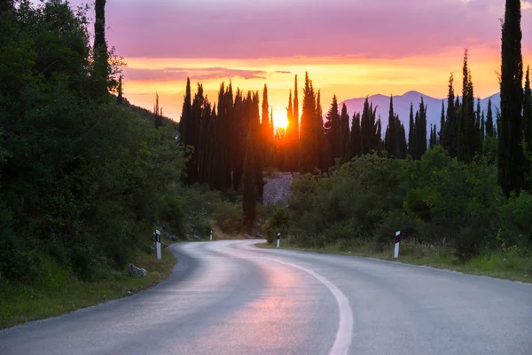 güzel bir manzara tepeler ve servi ağaçları virajlı yolda