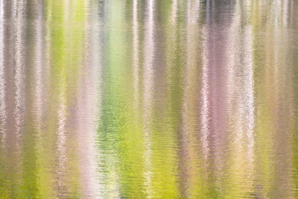 Carta da parati orizzontale sulla foresta riflessa in un lago — Foto Stock