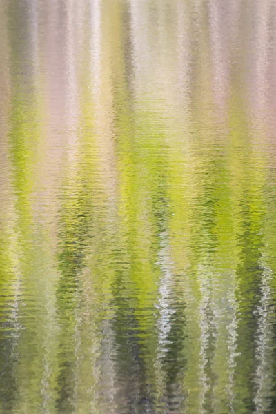 Carta da parati verticale sulla foresta riflessa in un lago — Foto Stock