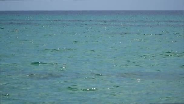 Wspaniała Letnia Scena Spokojnego Morza — Wideo stockowe