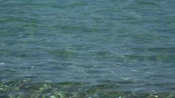 Прекрасная Летняя Сцена Спокойного Моря — стоковое видео