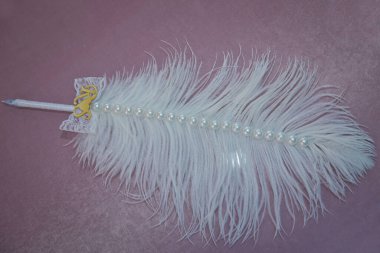 Beyaz tüylü pembe arka plan. Tüy Tüy Kalemi. Eski moda yazma aracı.