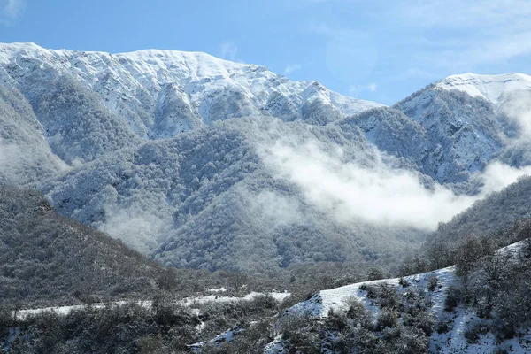 Nevou Aldeia Folhas Das Árvores Caíram Montanha Neve Nas Montanhas Imagens De Bancos De Imagens