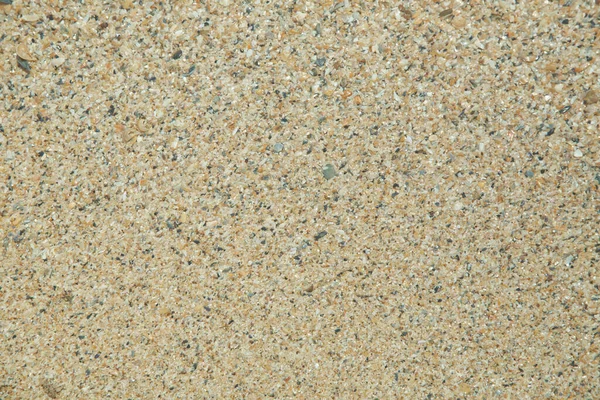 Фон Текстури Піску Маленькі Мушлі Розбитий Корал Природний Пісок Пляжі — стокове фото