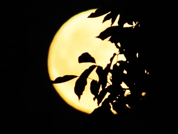 Luna Llena Cielo Nocturno Luna Sobre Fondo Negro — Foto de Stock