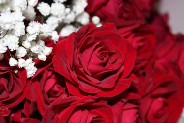 Kırmızı güllerin canlı bir gösterisi küçük beyaz çiçeklerle karıştırılarak, kutlama veya romantik anlar için mükemmel bir buket oluşturulur. Renkler çok güzel görünüyor..
