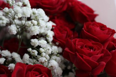 Çarpıcı bir buket, narin beyaz çiçeklerin yanında canlı kırmızı güller içerir. Bu düzenleme, her ortama zarafet katarak aşkı, yıldönümlerini ya da özel olayları kutlamak için mükemmeldir..