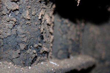 Toprak ayrıntılı olarak gösterilir, koyu renk ve dokuların karışımını ortaya çıkarır. Bu bölge inşaat alanının bir parçası gibi görünüyor, bazı karışıklıklar var..