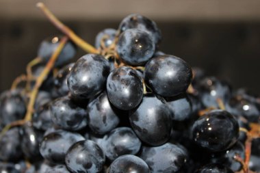 Bir araya toplanmış taze siyah üzümler parlak derilerini ve küçük su damlacıklarını gösteriyor. Bu meyve pazarında tipik bir özelliktir, tazeliklerini ve kalitelerini ön plana çıkarır..