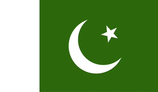 Pakistan vlag afbeelding — Stockvector
