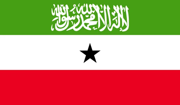 Somaliland flag image — Stock Vector