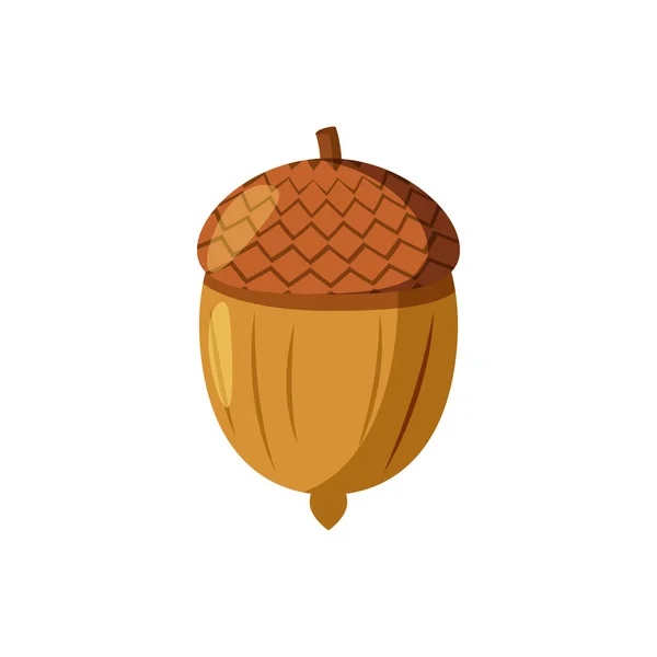 Acorn, pictogram, cartoon stijl — Stockvector