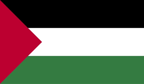 Palestina vlajka obrázek — Stockový vektor