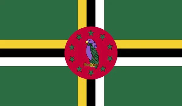 도미니카의 국기 이미지 — 스톡 벡터