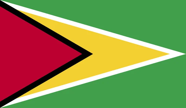Guyanas flagga bild — Stock vektor