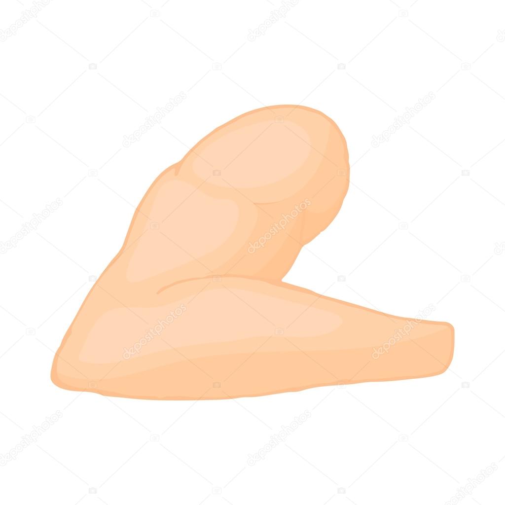 ylivdesign