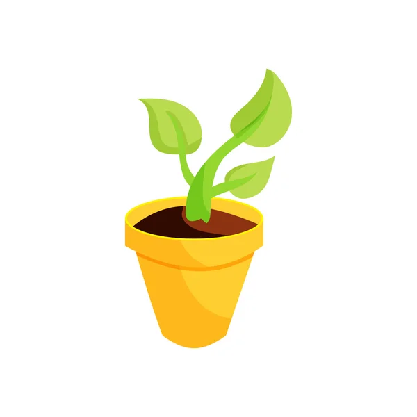 Green plant in a yellow pot icon, cartoon style — Stock Vector