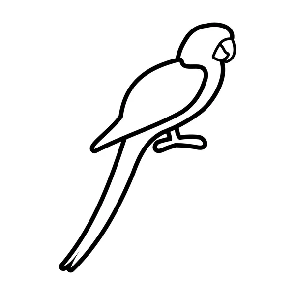 Papagáj ikon, vázlat stílusában — Stock Vector