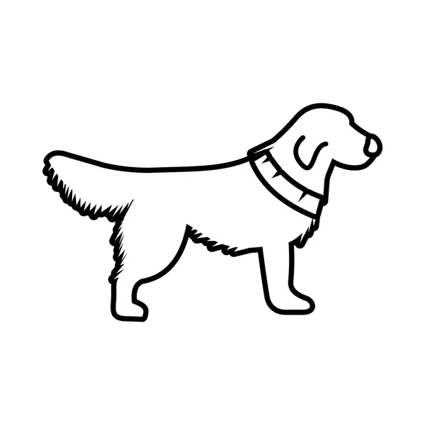 Hundesymbol, Umrissstil — Stockvektor