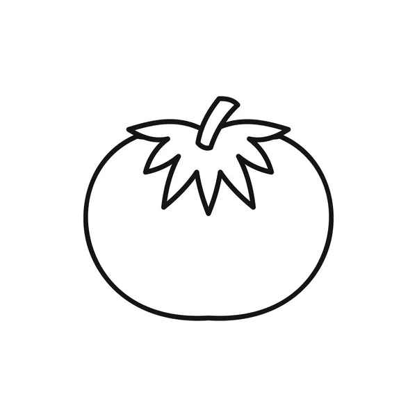 Icona di pomodoro, stile contorno — Vettoriale Stock