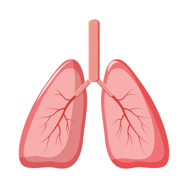 Ludzkie płuca ikony w stylu cartoon — Wektor stockowy