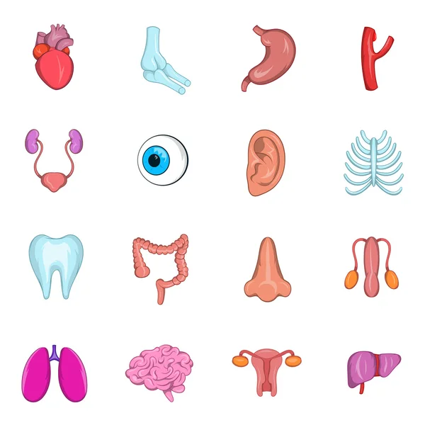 Interne organen pictogrammenset — Stockvector