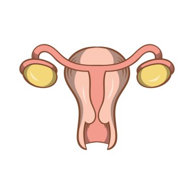 Rahim ve yumurtalıklar simgesi, karikatür tarzı