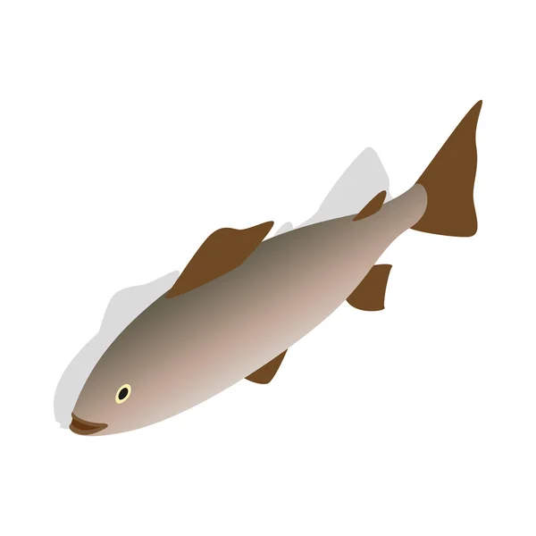バルト海のニシン アイコン、等角投影の 3d スタイル — ストックベクタ