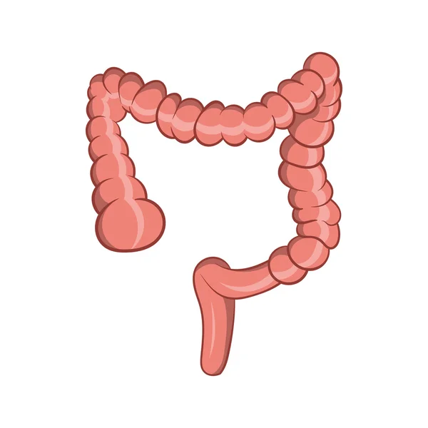Icono del intestino, estilo de dibujos animados — Archivo Imágenes Vectoriales
