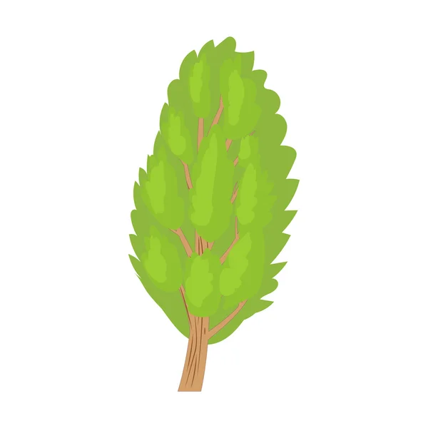 Poplar tree icon in cartoon style — Stock Vector