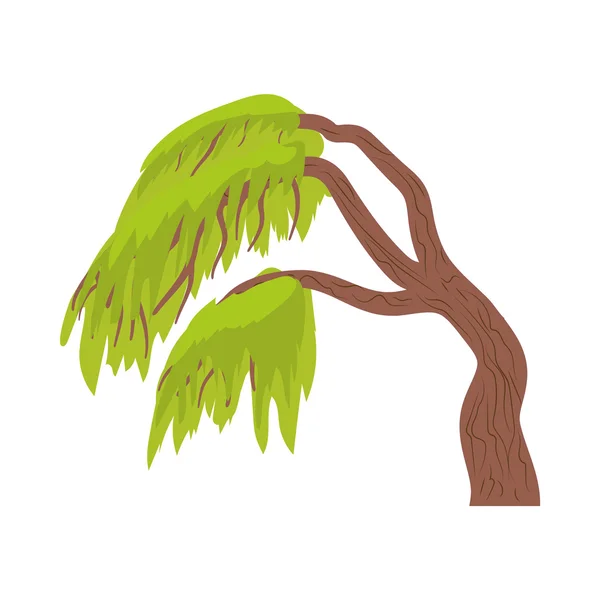 Weeping willow icon in cartoon style Stock Illustration