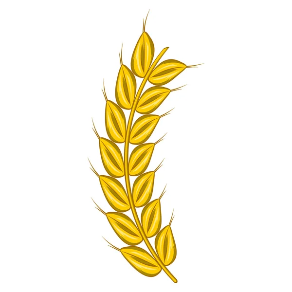 熟した大麦アイコン、漫画スタイルの茎 — ストックベクタ