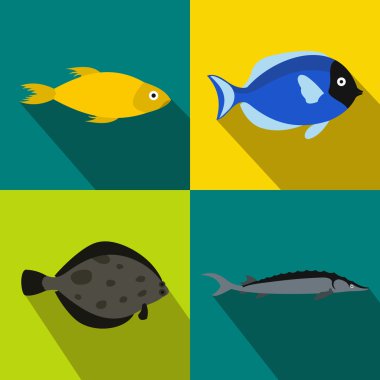 Balık seti, düz stil afiş