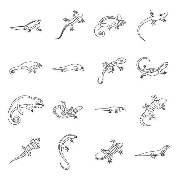 Conjunto de iconos de lagarto, estilo de contorno — Archivo Imágenes Vectoriales