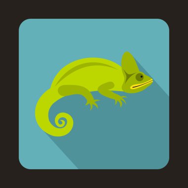 Bukalemun simgesi, düz stil