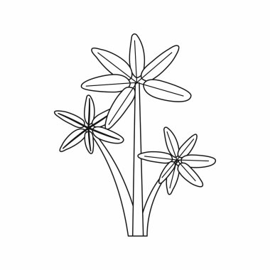 Palmiye ağacı simgesi, özet biçimi