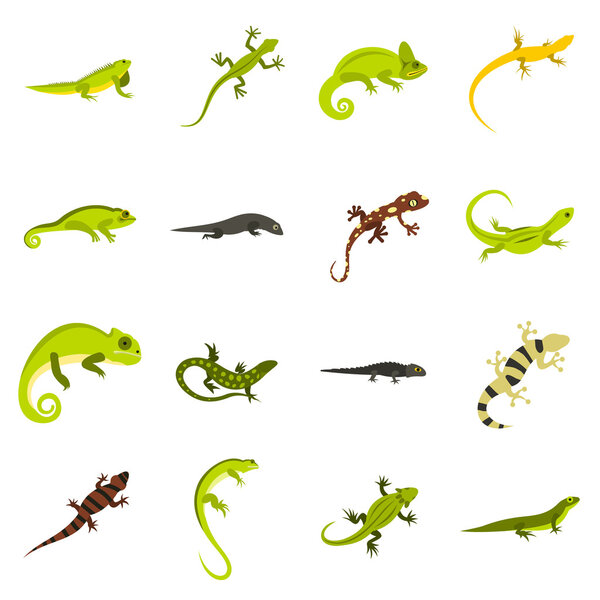Lizard icons set, flat style