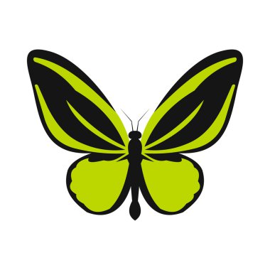 Yeşil kelebek kutsal kişilerin resmi, düz stil