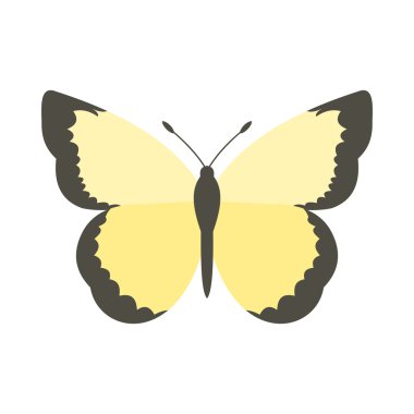 Işık sarı kelebek kutsal kişilerin resmi, düz stil