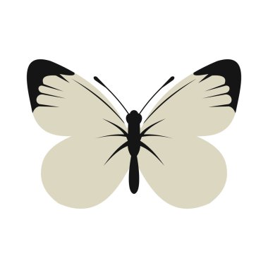 Beyaz kelebek kutsal kişilerin resmi, düz stil