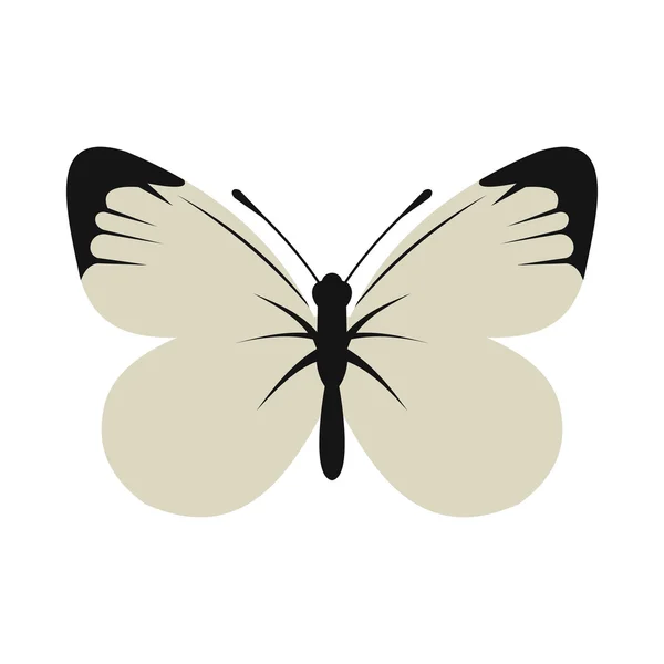 White butterfly icon, flat style — Stock Vector