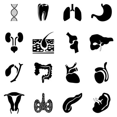 İç organları Icons set, basit tarzı