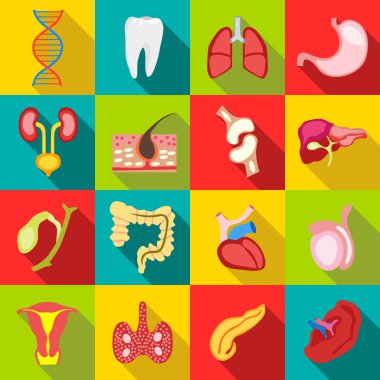 İç organları Icons set, düz stil