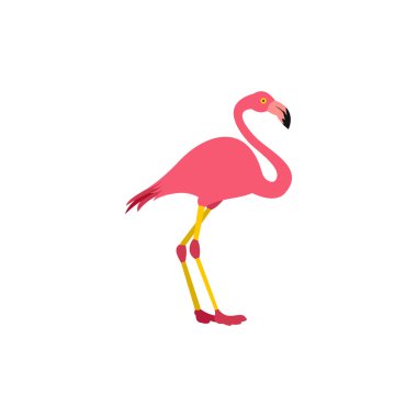 Pembe flamingo kutsal kişilerin resmi içinde düz stil